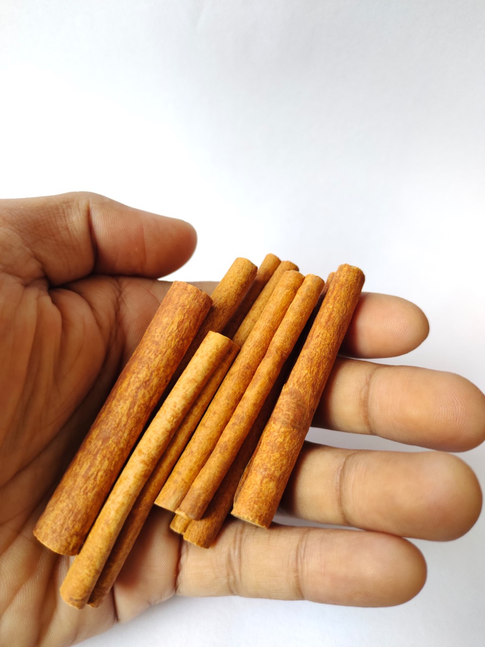 PT. KARYA LENTERA ABADI 16